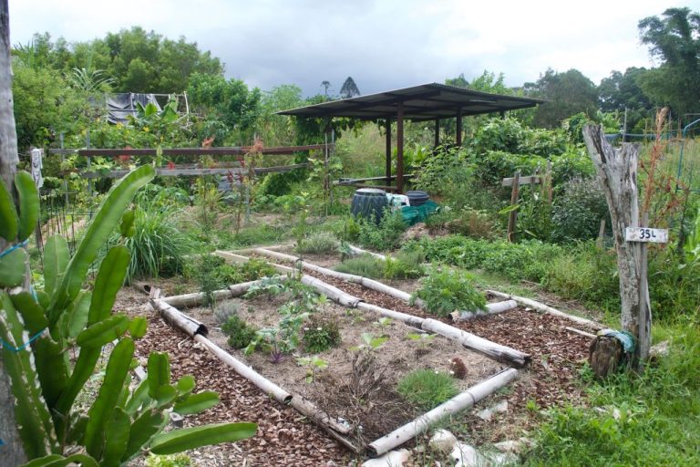 Comment faire un jardin en permaculture ?